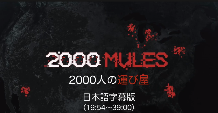 QAJF新作動画の紹介です。「2000MULES 2000人の運び屋 日本語字幕（19:54〜39:00）」