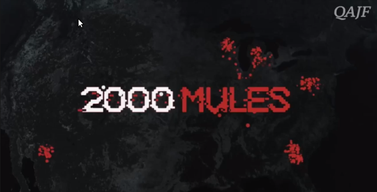 QAJF新作動画の紹介です。「2000MULES 2000人の運び屋 日本語字幕」