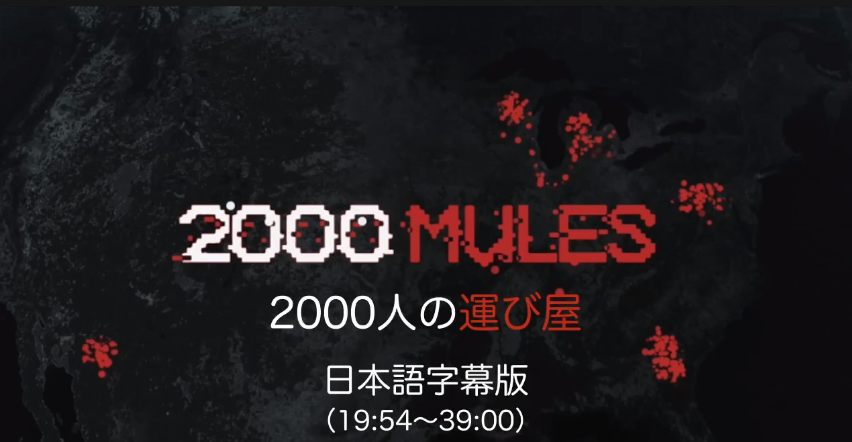 2000mules